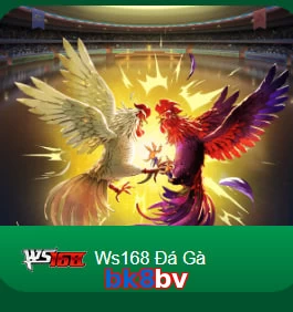 bk8bv